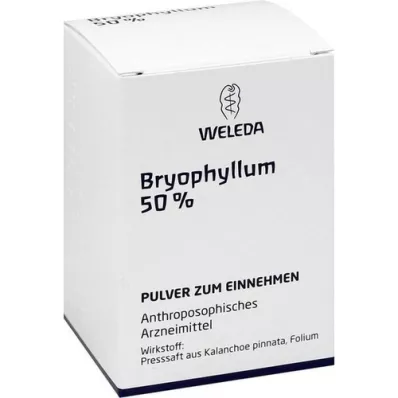 BRYOPHYLLUM 50% Pulver zum Einnehmen, 50 g