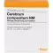 CEREBRUM COMPOSITUM NM Ampullen, 10 St