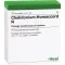 CHELIDONIUM-HOMACCORD N Ampullen, 10 St