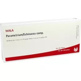 PARAMETRIUM/Echinacea comp.Ampullen, 10X1 ml