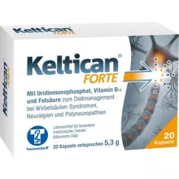 KELTICAN forte Kapseln, 20 St
