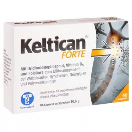 KELTICAN forte Kapseln, 40 St