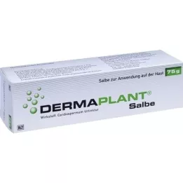 DERMAPLANT Salbe, 75 g