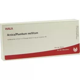 ARNICA/PLUMBUM /Mellitum Ampullen, 10X1 ml