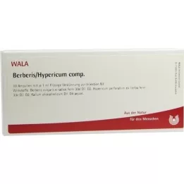 BERBERIS/HYPERICUM comp.Ampullen, 10X1 ml