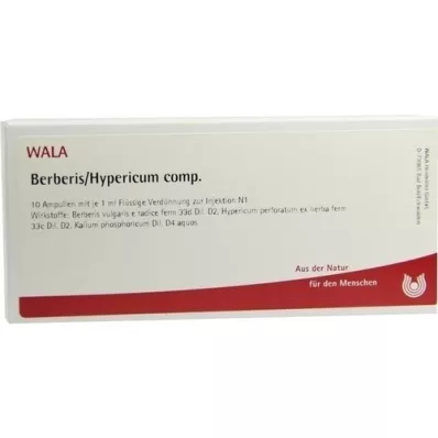 BERBERIS/HYPERICUM comp.Ampullen, 10X1 ml