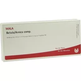 BETULA/ARNICA comp.Ampullen, 10X1 ml