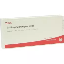 CARTILAGO/Mandragora comp.Ampullen, 10X1 ml