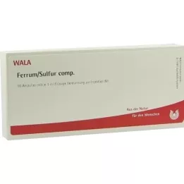 FERRUM SULFUR comp.Ampullen, 10X1 ml