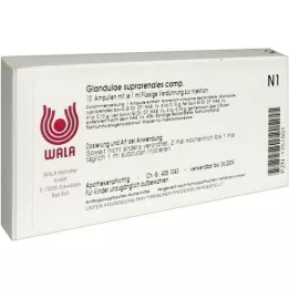 GLANDULAE SUPRARENALES comp.Ampullen, 10X1 ml