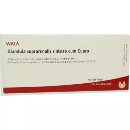 GLANDULA SUPRARENALIS sinistra cum Cupro Ampullen, 10X1 ml