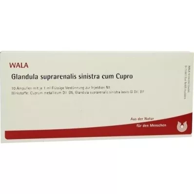 GLANDULA SUPRARENALIS sinistra cum Cupro Ampullen, 10X1 ml