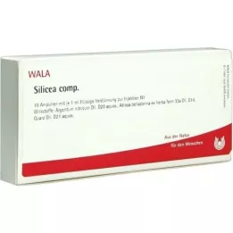 SILICEA COMP.Ampullen, 10X1 ml