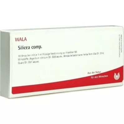 SILICEA COMP.Ampullen, 10X1 ml