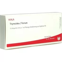 THYREOIDEA/Ferrum Ampullen, 10X1 ml