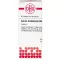 AURUM METALLICUM D 6 Tabletten, 80 St
