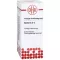 BERBERIS D 3 Dilution, 20 ml