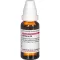 BERBERIS D 6 Dilution, 20 ml