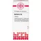BERBERIS D 4 Tabletten, 80 St