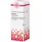 CACTUS D 2 Dilution, 20 ml