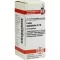 CARBO VEGETABILIS D 10 Globuli, 10 g