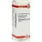 CHELIDONIUM D 6 Dilution, 20 ml