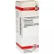 COLCHICUM D 6 Dilution, 20 ml