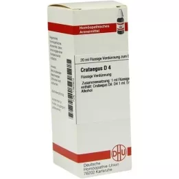 CRATAEGUS D 4 Dilution, 20 ml