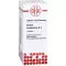 KALIUM CARBONICUM D 4 Tabletten, 80 St