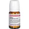 KALIUM PHOSPHORICUM D 12 Tabletten, 80 St