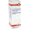 LYCOPUS VIRGINICUS D 6 Dilution, 20 ml