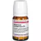 MAGNESIUM PHOSPHORICUM D 6 Tabletten, 80 St