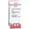 RHUS TOXICODENDRON D 6 Tabletten, 80 St