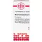 RHUS TOXICODENDRON D 12 Globuli, 10 g
