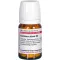 VERATRUM ALBUM D 4 Tabletten, 80 St