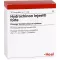 HYDROCHINON Injeel forte Ampullen, 10 St