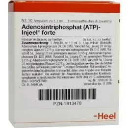 ATP Injeel forte Ampullen, 10 St