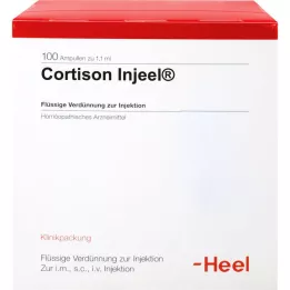 CORTISON Injeel Ampullen, 100 St