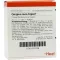 GINGIVA SUIS Injeel Ampullen, 10 St