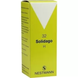 SOLIDAGO H 32 Tropfen, 50 ml