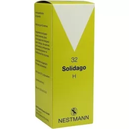SOLIDAGO H 32 Tropfen, 100 ml