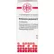 ECHINACEA PURPUREA D 12 Globuli, 10 g