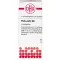 PICHI-pichi D 6 Globuli, 10 g