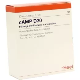 CAMP D 30 Ampullen, 10 St