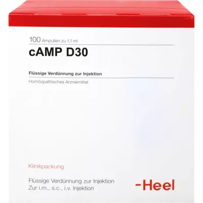 CAMP D 30 Ampullen, 100 St