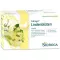 SIDROGA Lindenblüten Tee Filterbeutel, 20X1.8 g