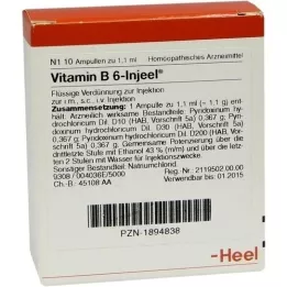 VITAMIN B6 INJEEL Ampullen, 10 St