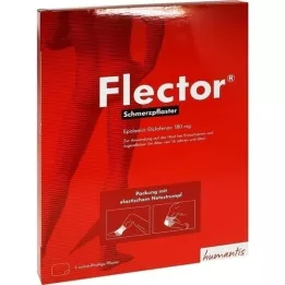 FLECTOR Schmerzpflaster+elatischer Netzstrumpf, 5 St