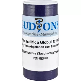 APIS MELLIFICA C 1000 Einzeldosis Globuli, 0.5 g