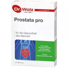 PROSTATA PRO Dr.Wolz Kapseln, 2X20 St